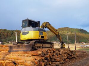 木材産業で特定技能外国人を受け入れるには？雇用時のルールを解説！