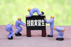 在留資格「技能実習3号」とは？条件や雇用側のポイントなどを解説