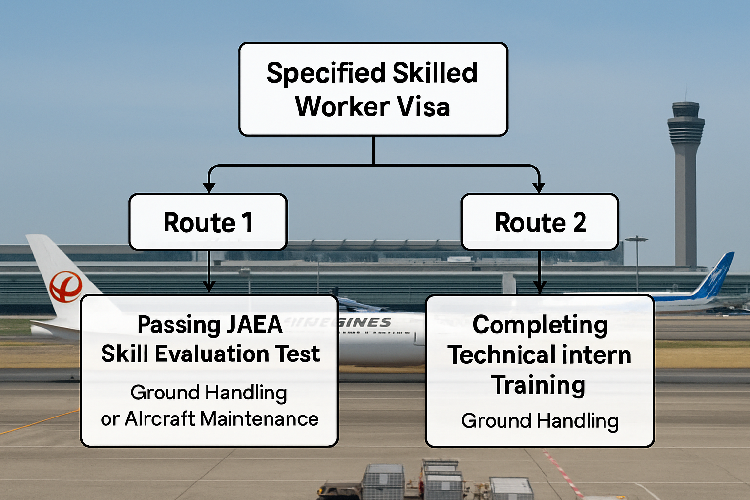 航空業特定技能を取得するための技能評価試験ルートと技能実習ルートを示す図